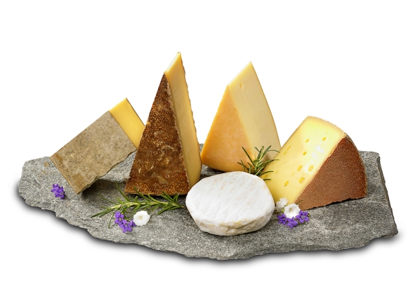 Hartkäse und Schnittkäse