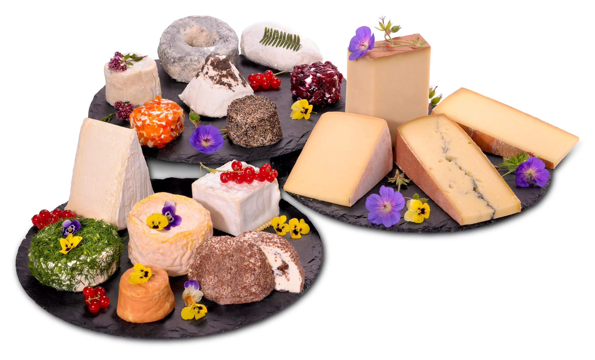Große Käseauswahl - Cheese Choice Große Käseauswahl - Cheese Choice